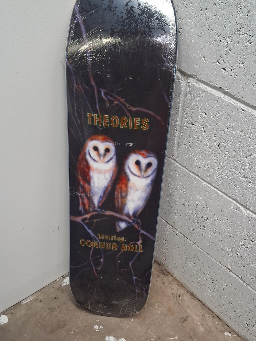 NWT Theories Starring Connor Noll Owl Graphic Skateboard Deck - (Brown)